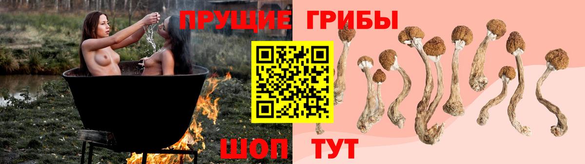 Псилоцибиновые грибы GOLDEN TEACHER  Вход с VPN  Вязьма  Псилоцибиновые грибы GOLDEN TEACHER 